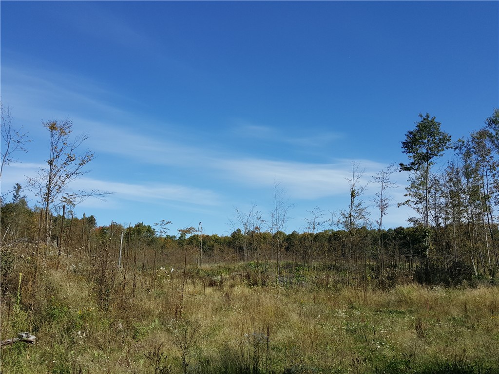 ON N Altamont Road Mason WI 54856 1589572 image4