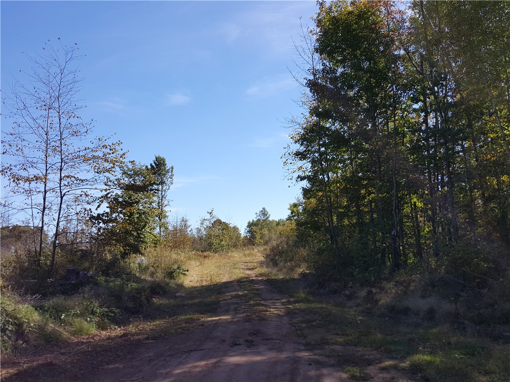 ON N Altamont Road Mason WI 54856 1589572 image5