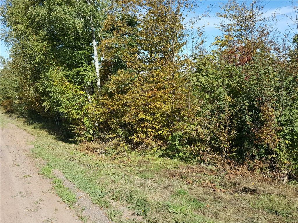 ON N Altamont Road Mason WI 54856 1589572 image6