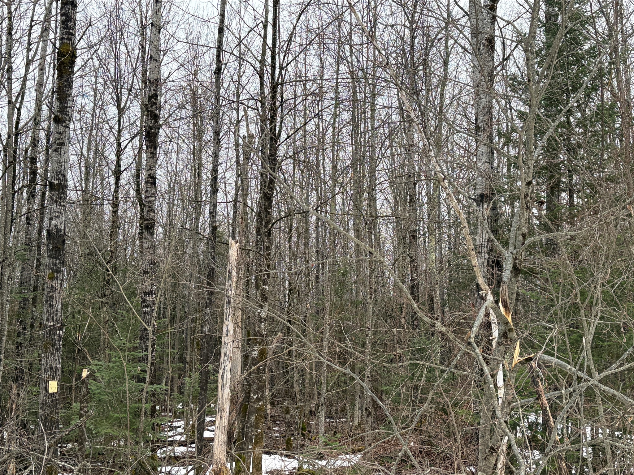 ON N Hofer Road Couderay WI 54828 1599291 image4