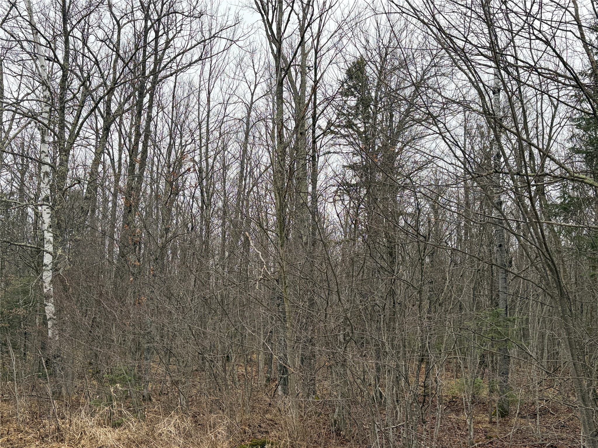 ON N Hofer Road Couderay WI 54828 1599292 image4
