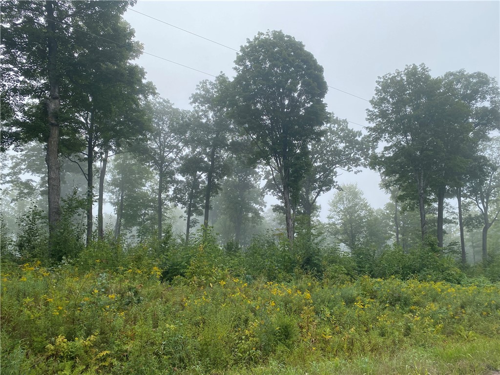 ON N Zettel Road Exeland WI 54835 1594779 image1