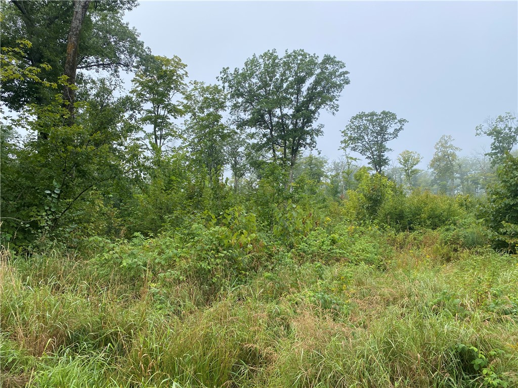 ON N Zettel Road Exeland WI 54835 1594781 image2