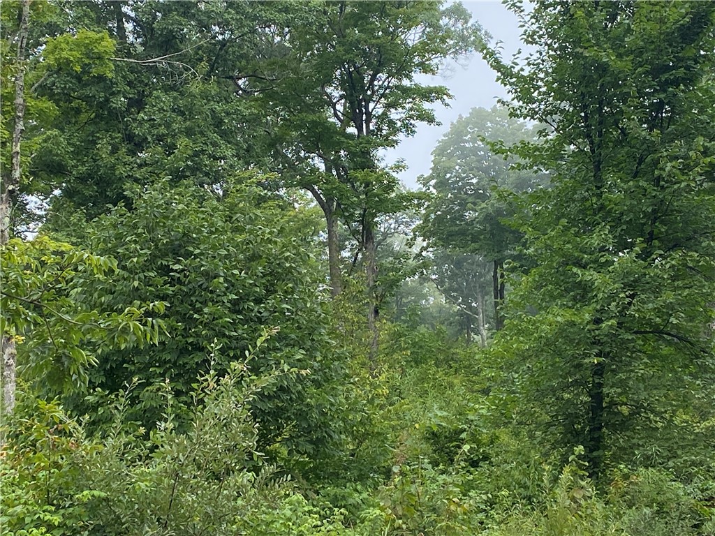 ON N Zettel Road Exeland WI 54835 1594781 image5