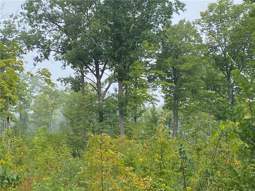 ON N Zettel Road Exeland WI 54835 1594781 image6