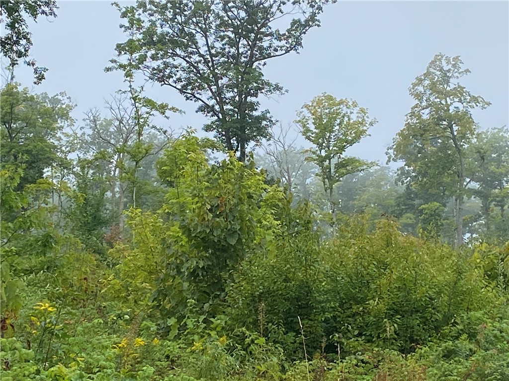 ON N Zettel Road Exeland WI 54835 1594781 image7