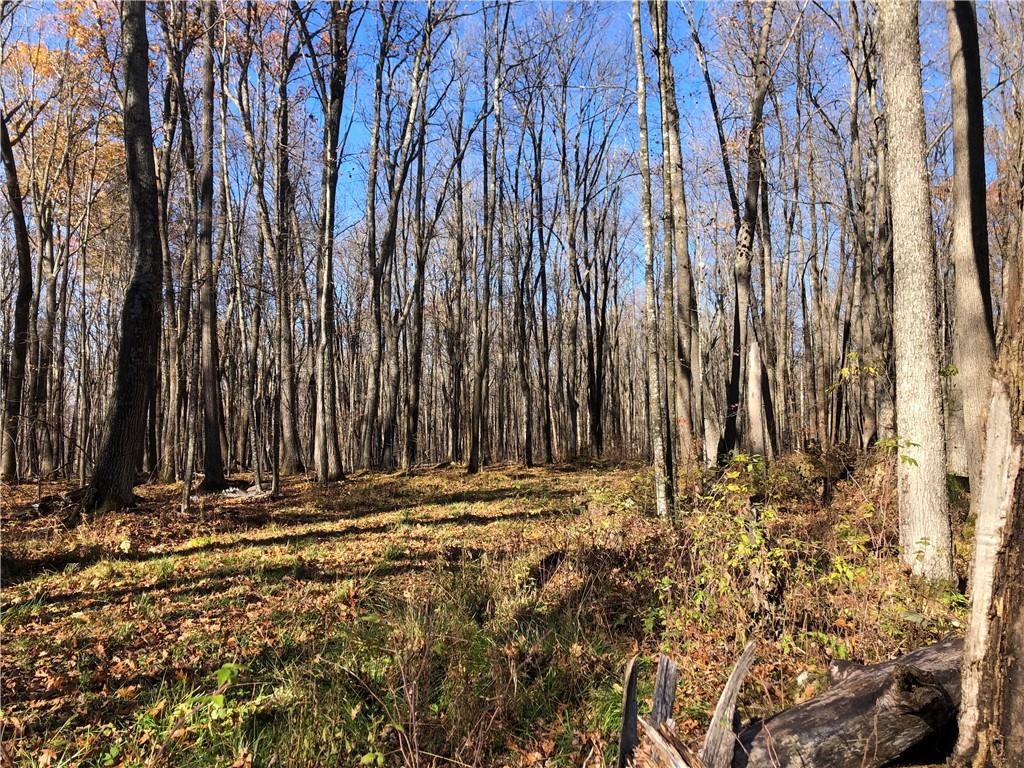 ON Nail Creek Road Ladysmith WI 54848 1568131 image1