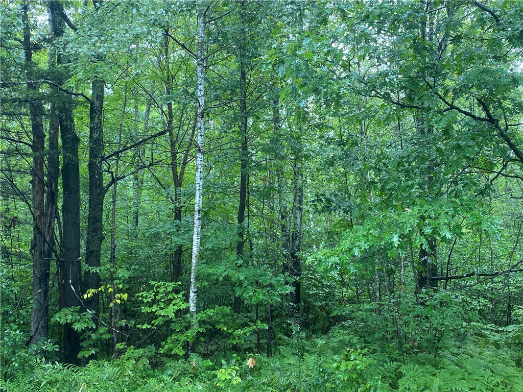 ON Pennington Road Prentice WI 54556 1584864 image5