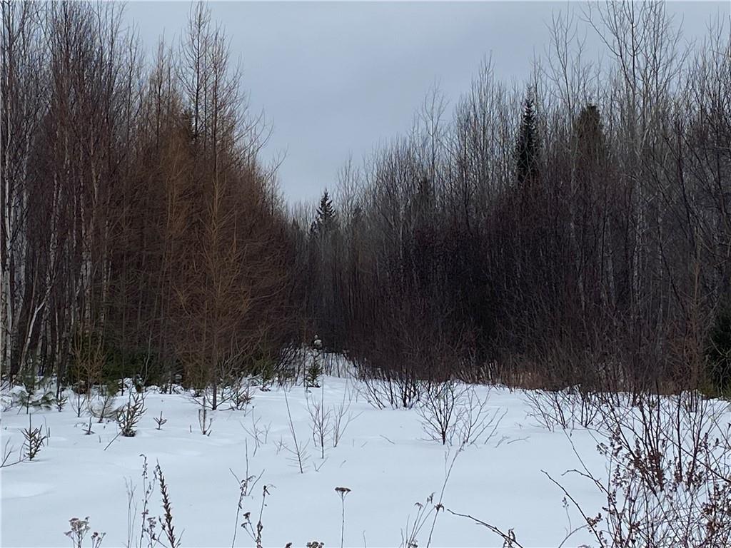 ON Right Of Way Road Road Butternut WI 54514 1572204 image1