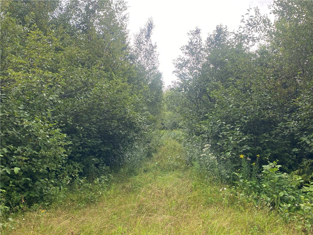 ON Right Of Way Road Butternut WI 54514 1584855 image2