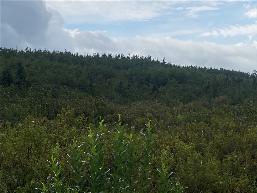 ON Right Of Way Road Butternut WI 54514 1584855 image3