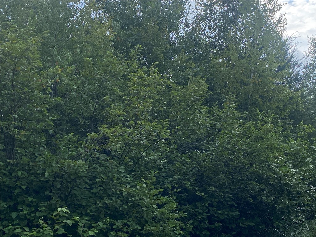 ON Right Of Way Road Butternut WI 54514 1584855 image4