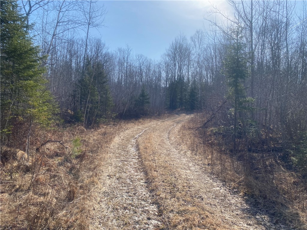 ON S Buckhorn Road Park Falls WI 54552 1590577 image2