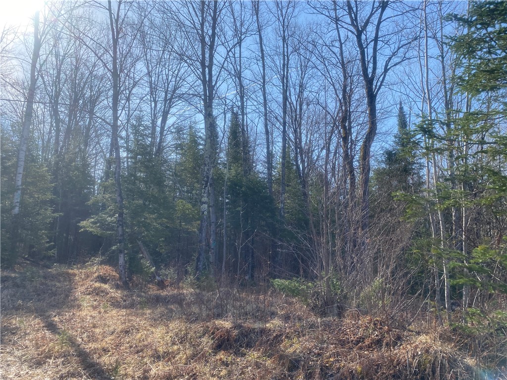 ON S Buckhorn Road Park Falls WI 54552 1590577 image3