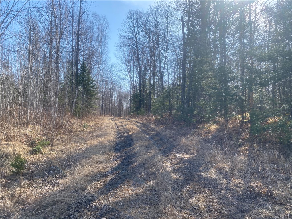 ON S Buckhorn Road Park Falls WI 54552 1590577 image5