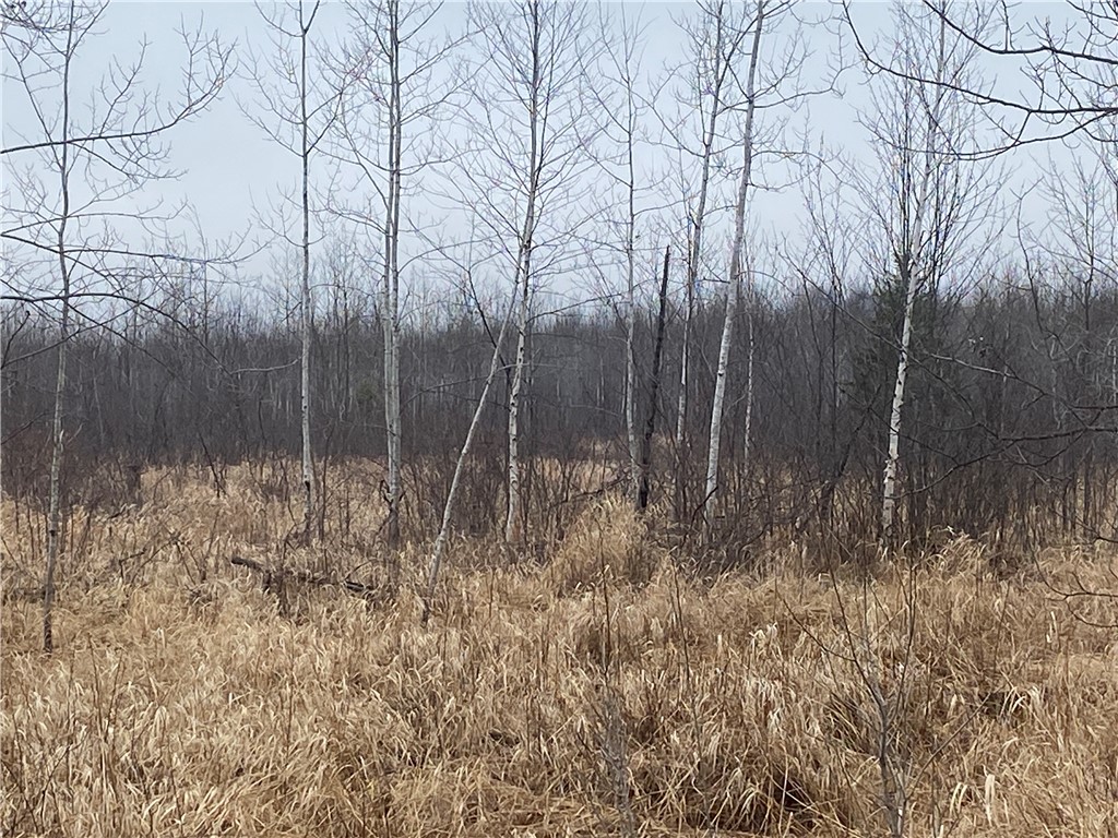 ON Shauger Road Ogema WI 54459 1590587 image3