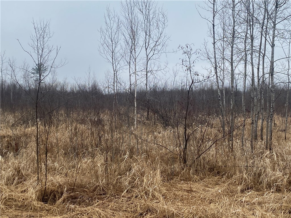 ON Shauger Road Ogema WI 54459 1590587 image4