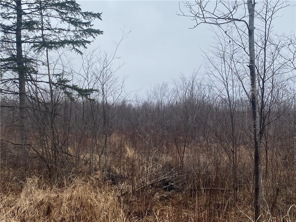 ON Shauger Road Ogema WI 54459 1590589 image2