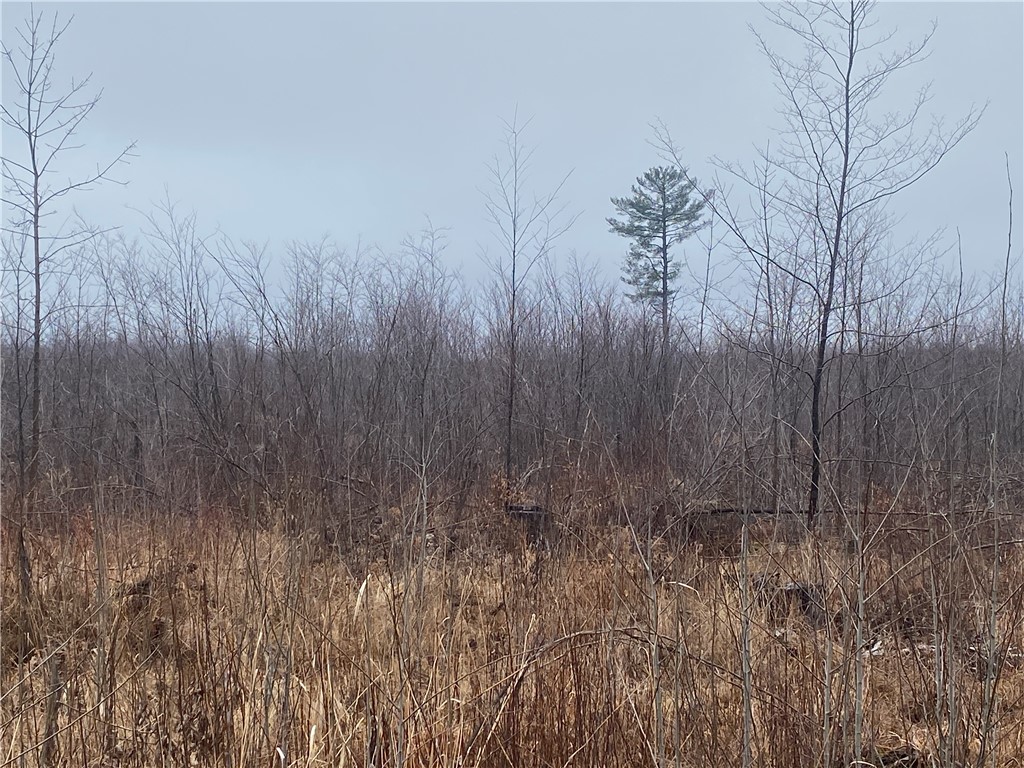 ON Shauger Road Ogema WI 54459 1590589 image4