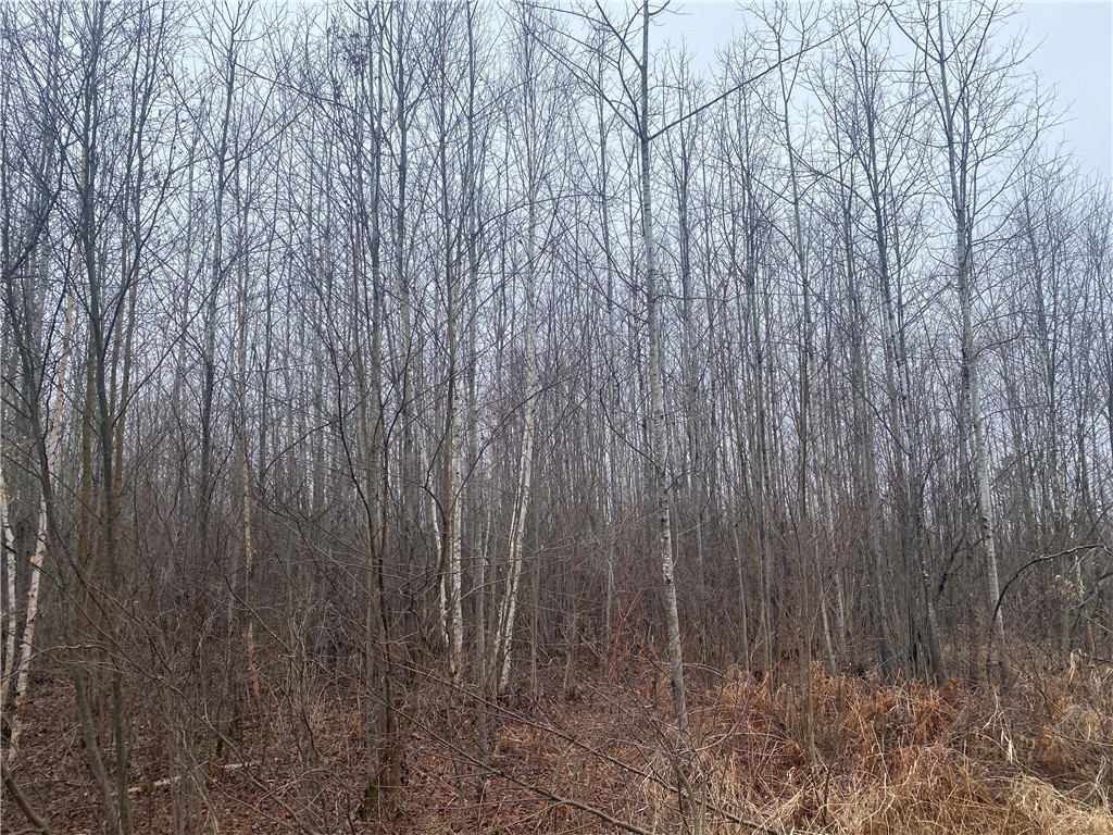 ON Shauger Road Ogema WI 54459 1590589 image6