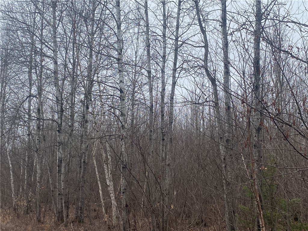 ON Shauger Road Ogema WI 54459 1590592 image2