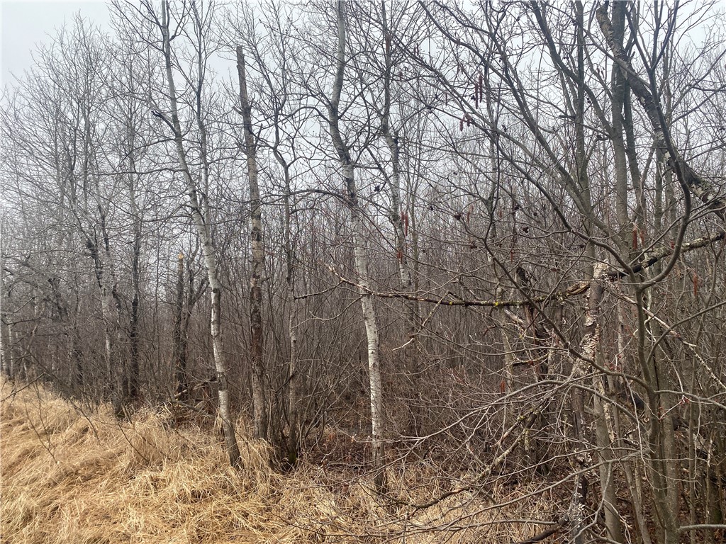 ON Shauger Road Ogema WI 54459 1590592 image4