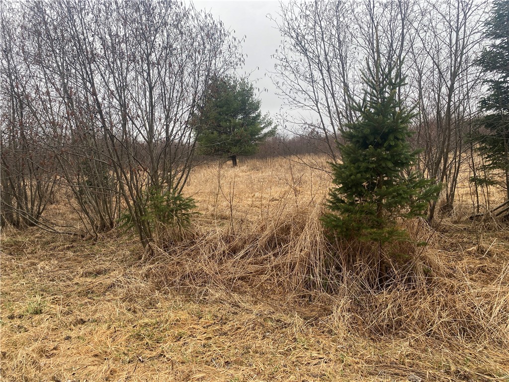 ON Shauger Road Ogema WI 54459 1590594 image3