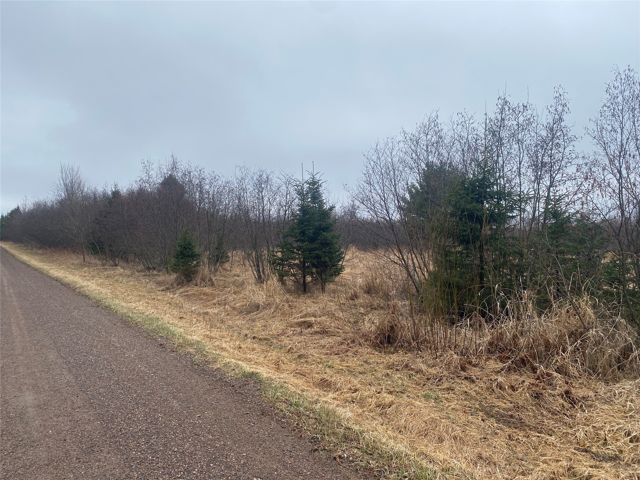 ON Shauger Road Ogema WI 54459 1599116 image1