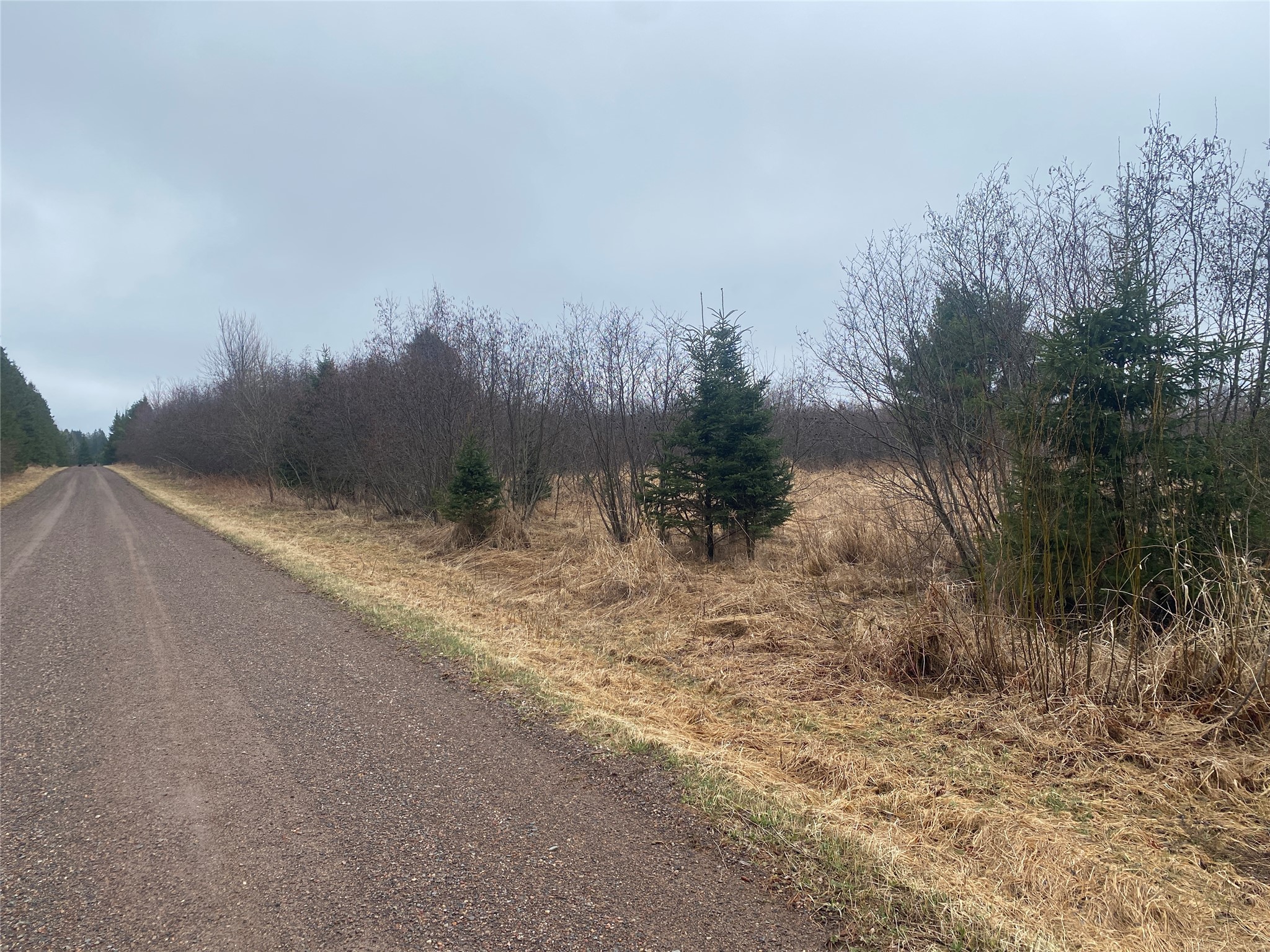 ON Shauger Road Ogema WI 54459 1599116 image2