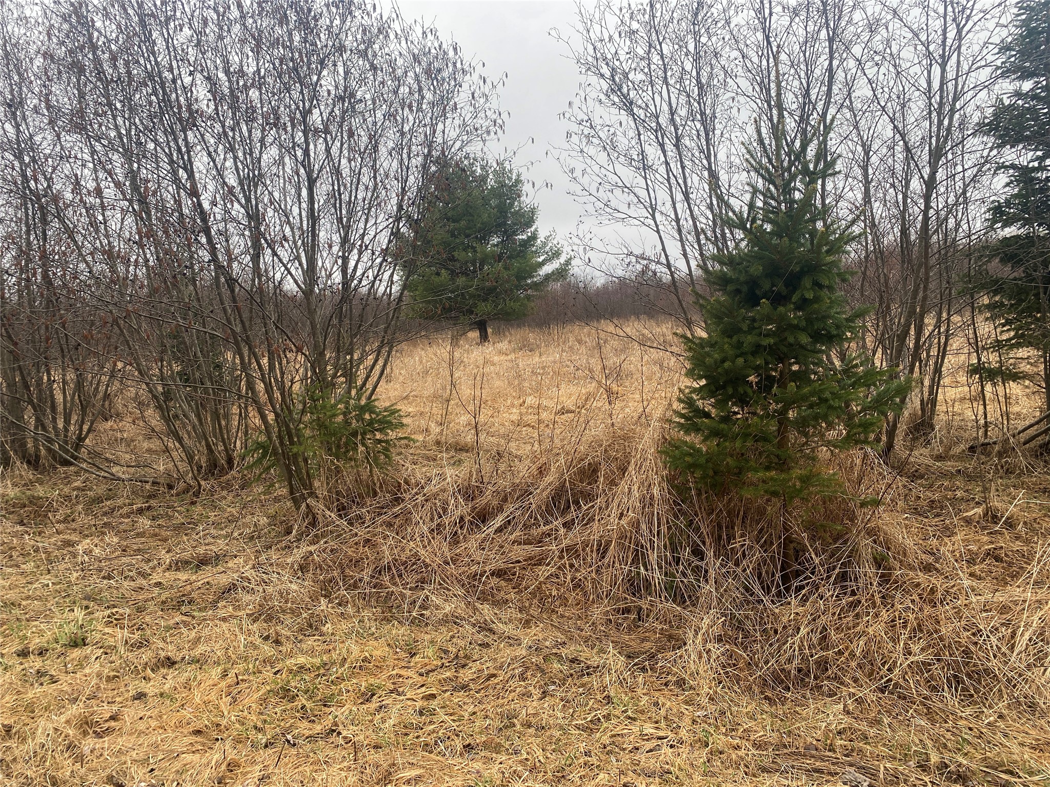 ON Shauger Road Ogema WI 54459 1599116 image3