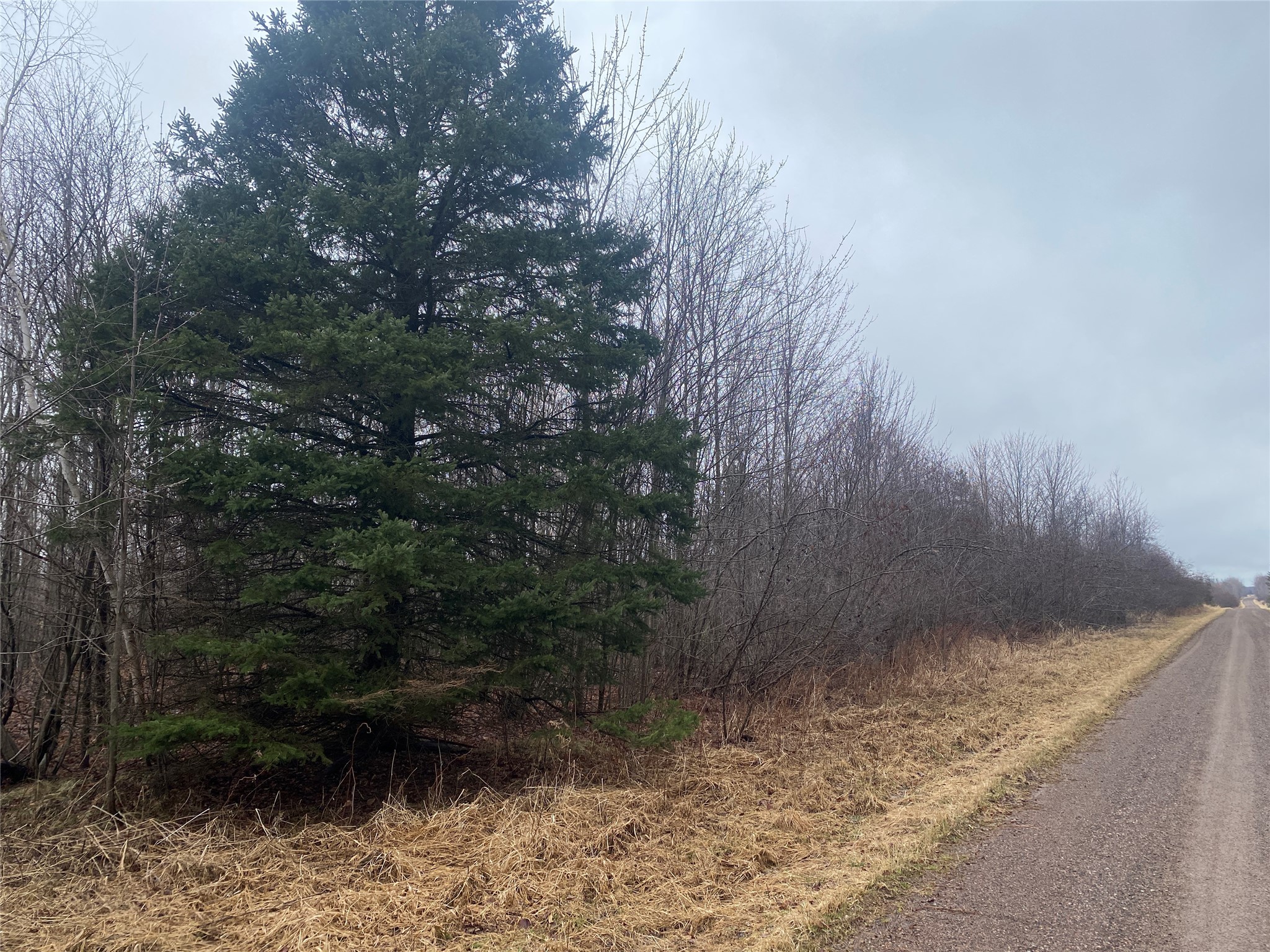 ON Shauger Road Ogema WI 54459 1599116 image5