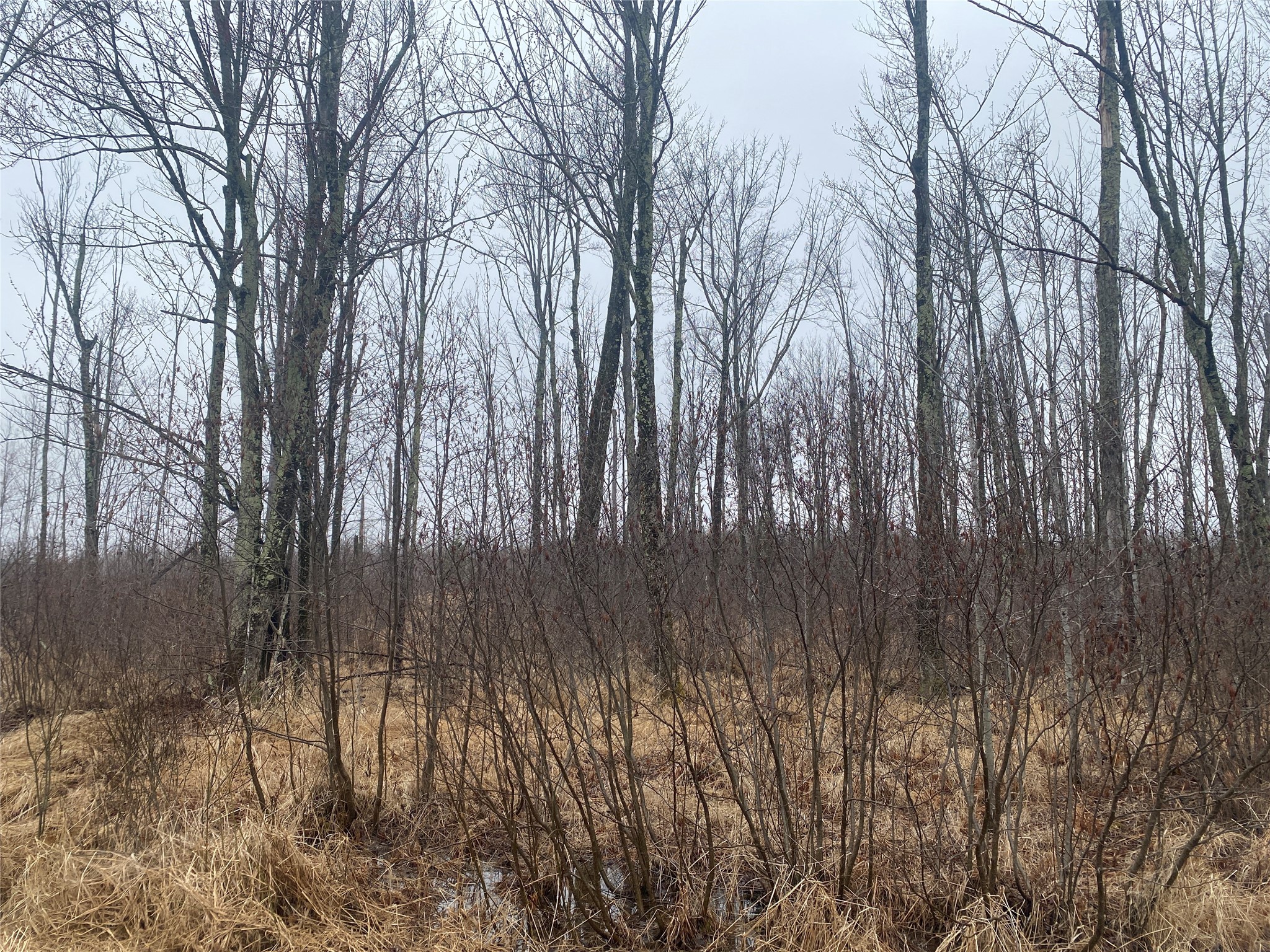 ON Shauger Road Ogema WI 54459 1600555 image1
