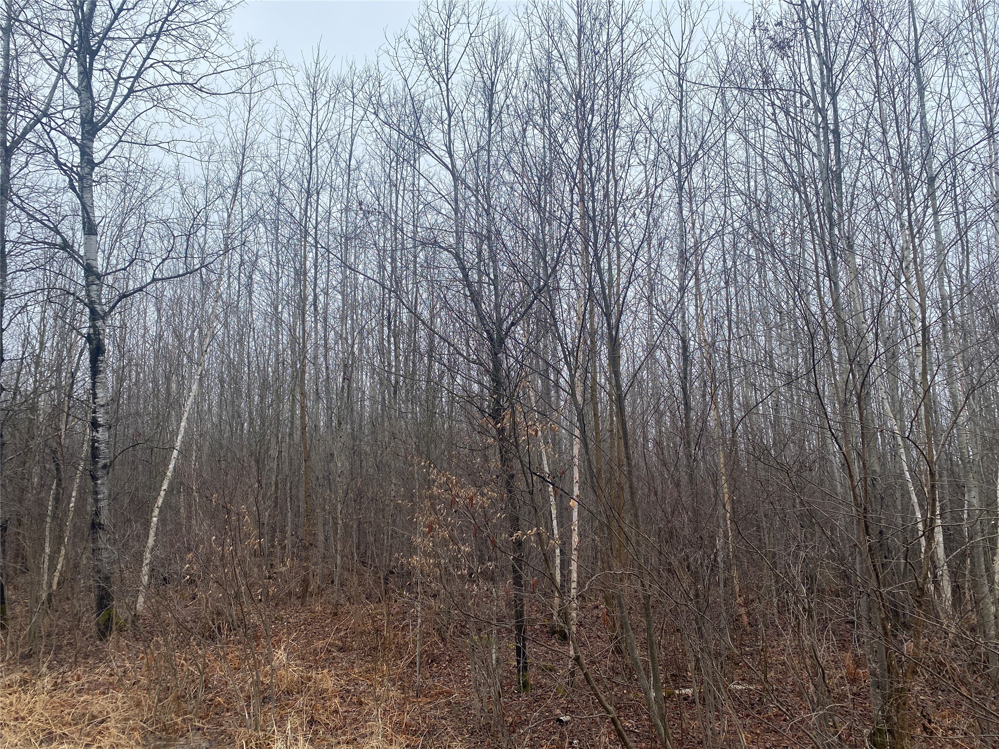 ON Shauger Road Ogema WI 54459 1600555 image6