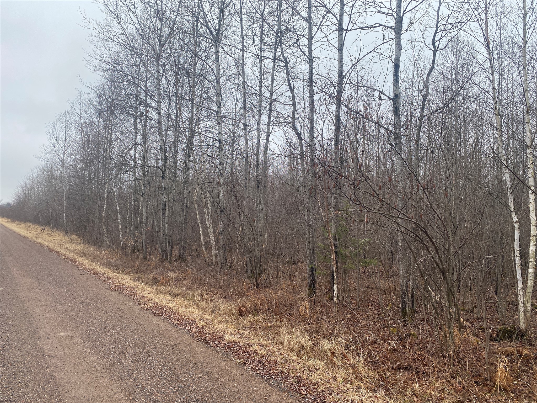ON Shauger Road Ogema WI 54459 1600558 image1