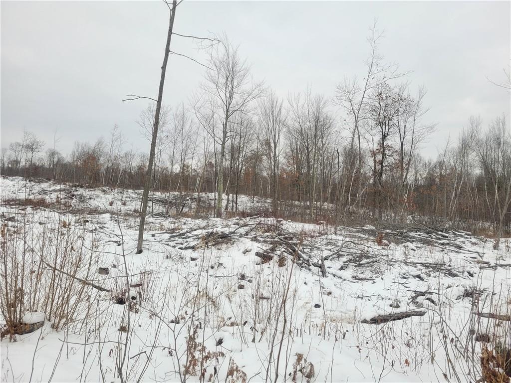 ON Sheep Camp Road Ladysmith WI 54848 1570284 image1