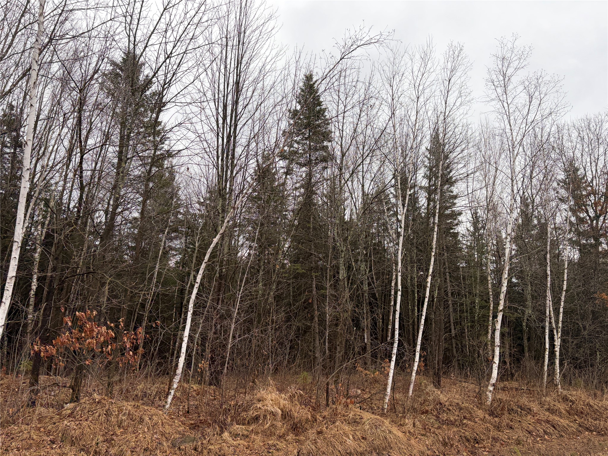 ON Sheep Camp Road Ladysmith WI 54848 1599295 image2