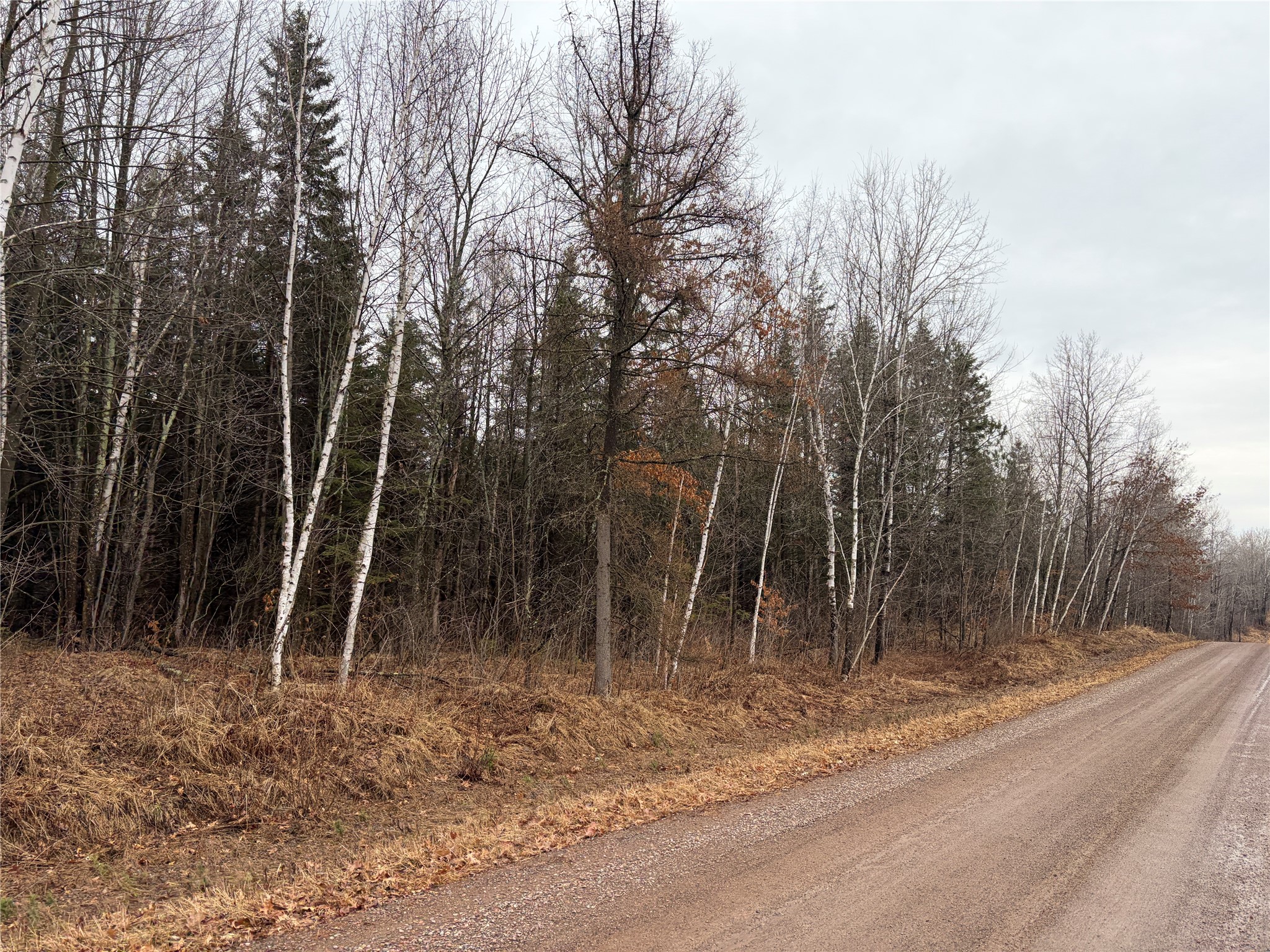 ON Sheep Camp Road Ladysmith WI 54848 1599295 image3