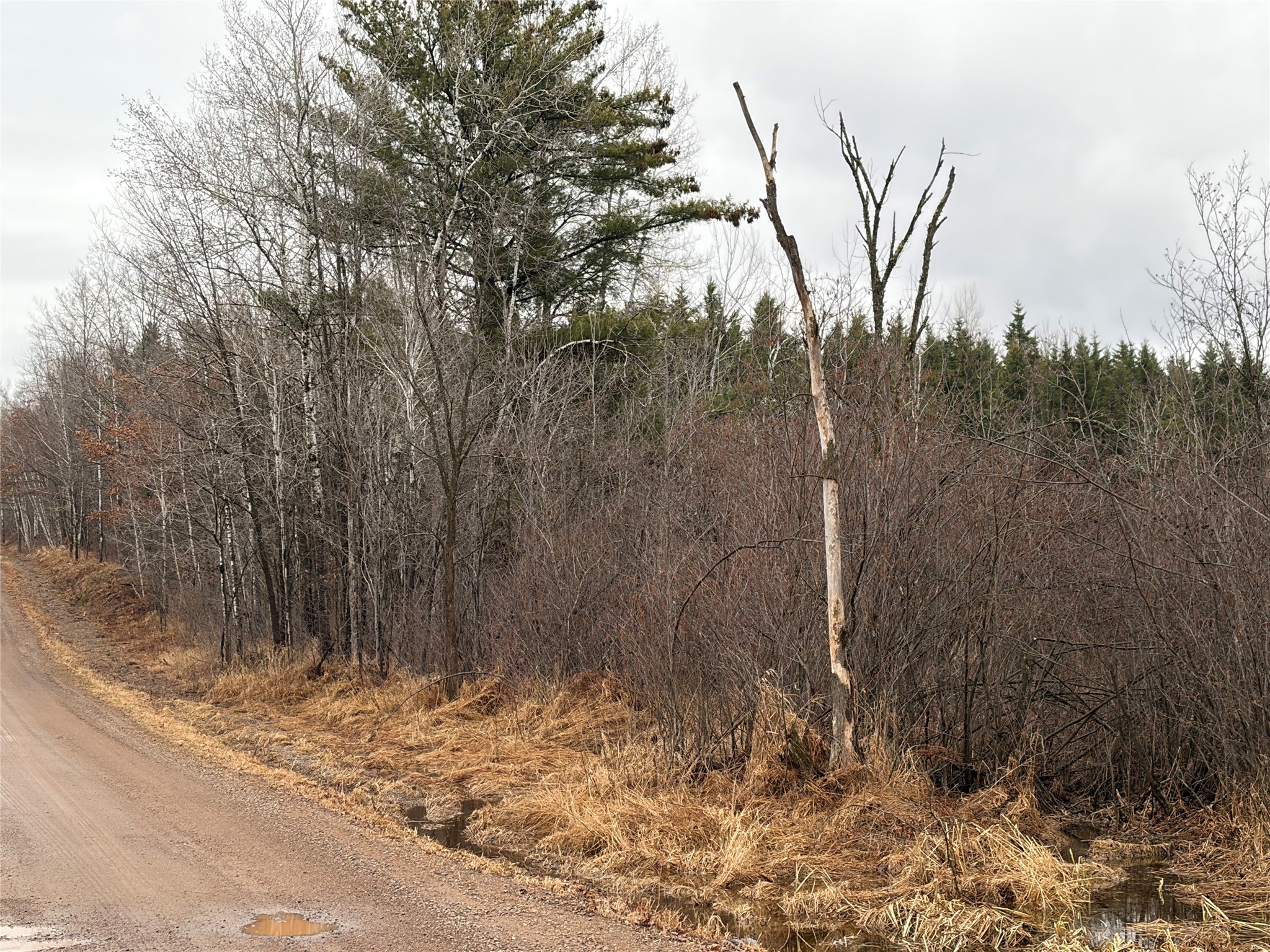 ON Sheep Camp Road Ladysmith WI 54848 1599295 image5