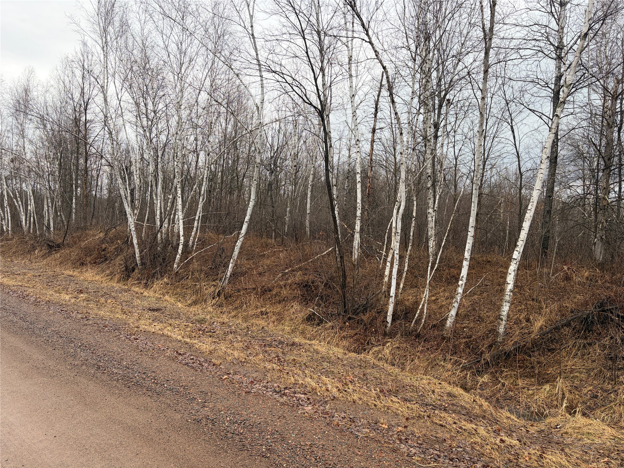 ON Sheep Camp Road Ladysmith WI 54848 1599296 image1