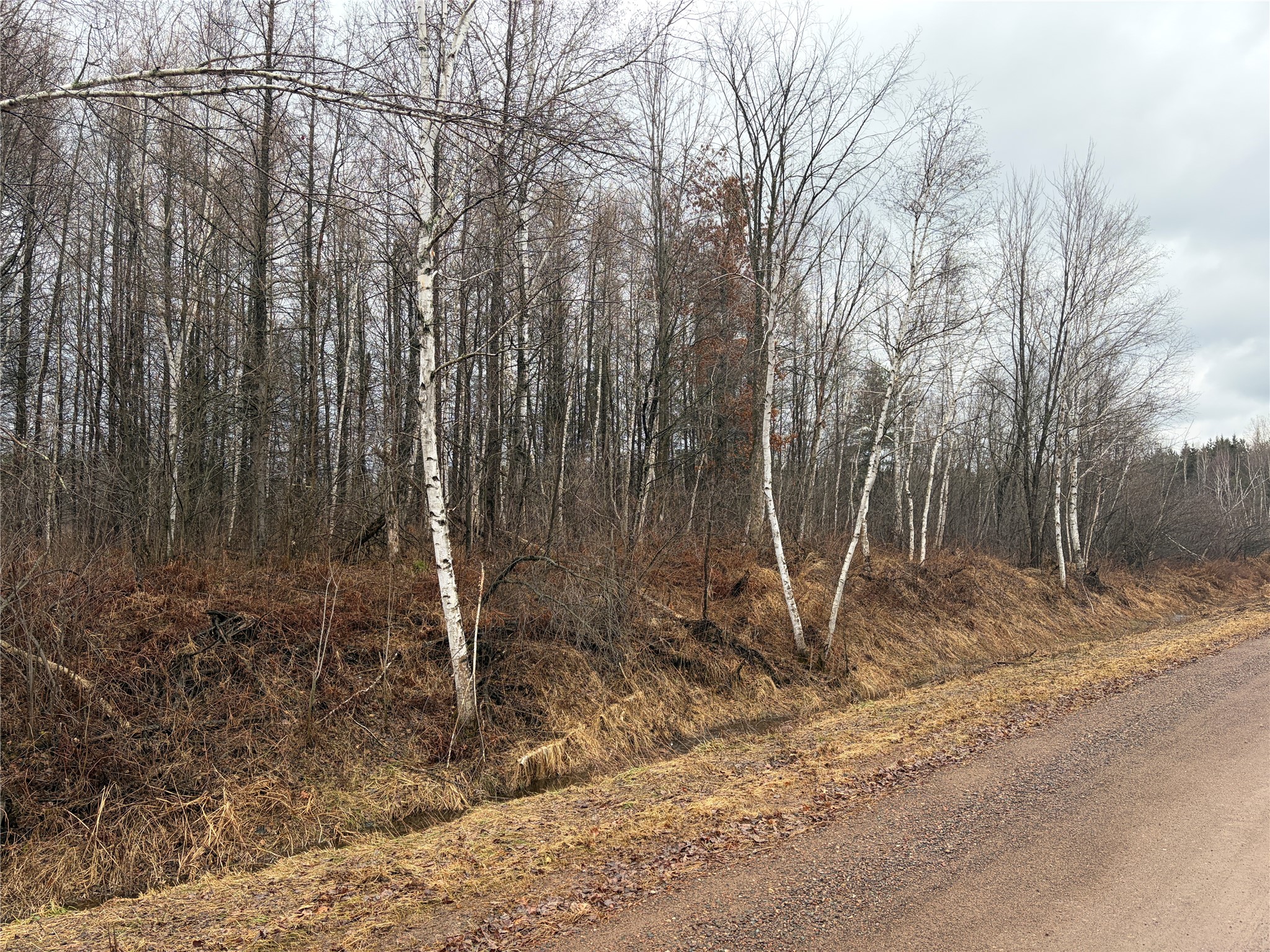 ON Sheep Camp Road Ladysmith WI 54848 1599296 image2