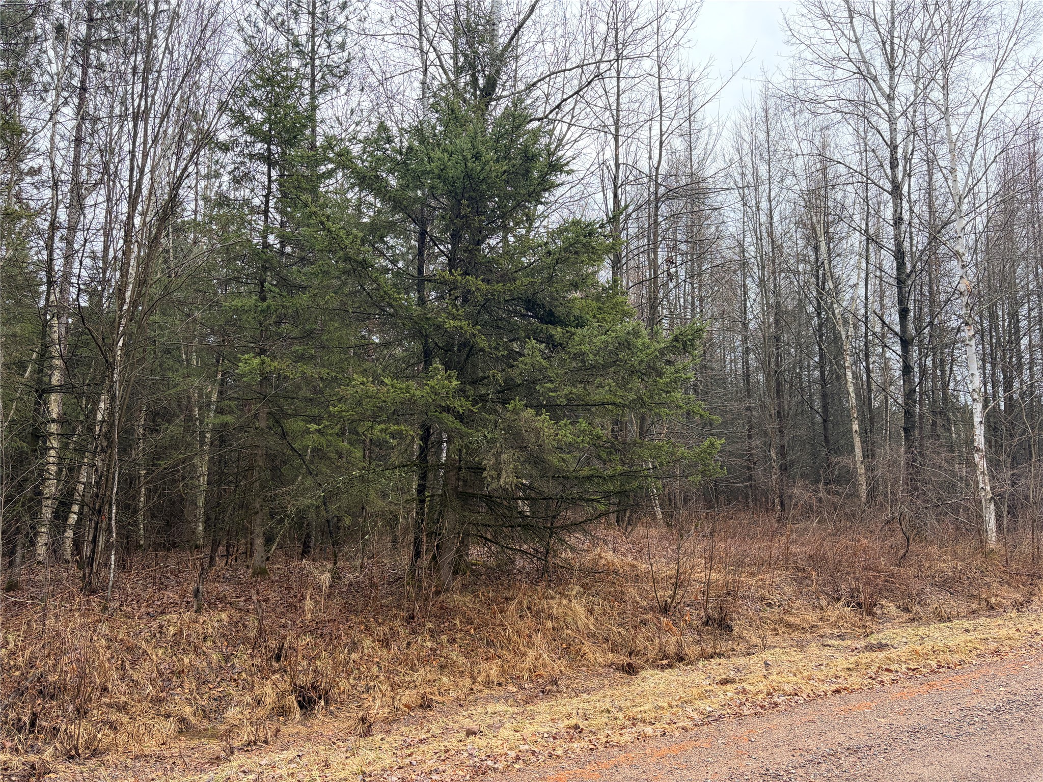 ON Sheep Camp Road Ladysmith WI 54848 1599296 image6