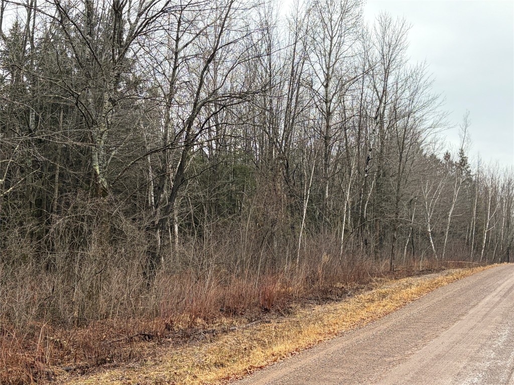 ON Sheep Camp Road Ladysmith WI 54848 1599297 image4