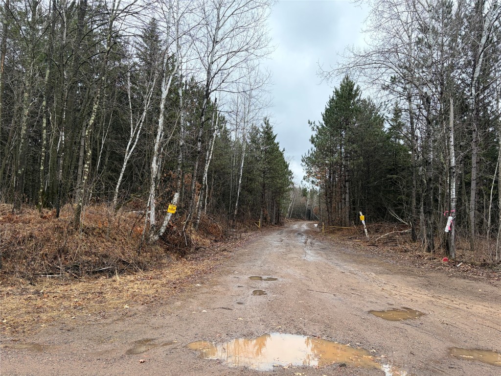 ON Sheep Camp Road Ladysmith WI 54848 1599297 image6