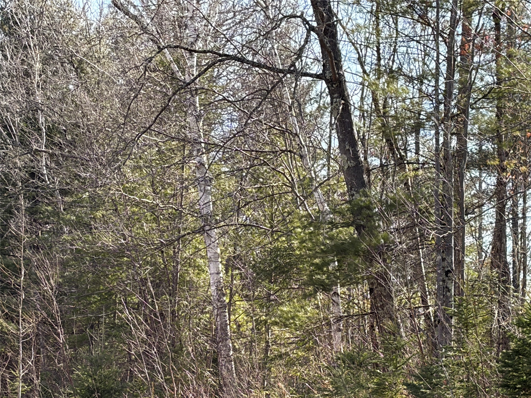 ON State Highway 70 Park Falls WI 54552 1599299 image5