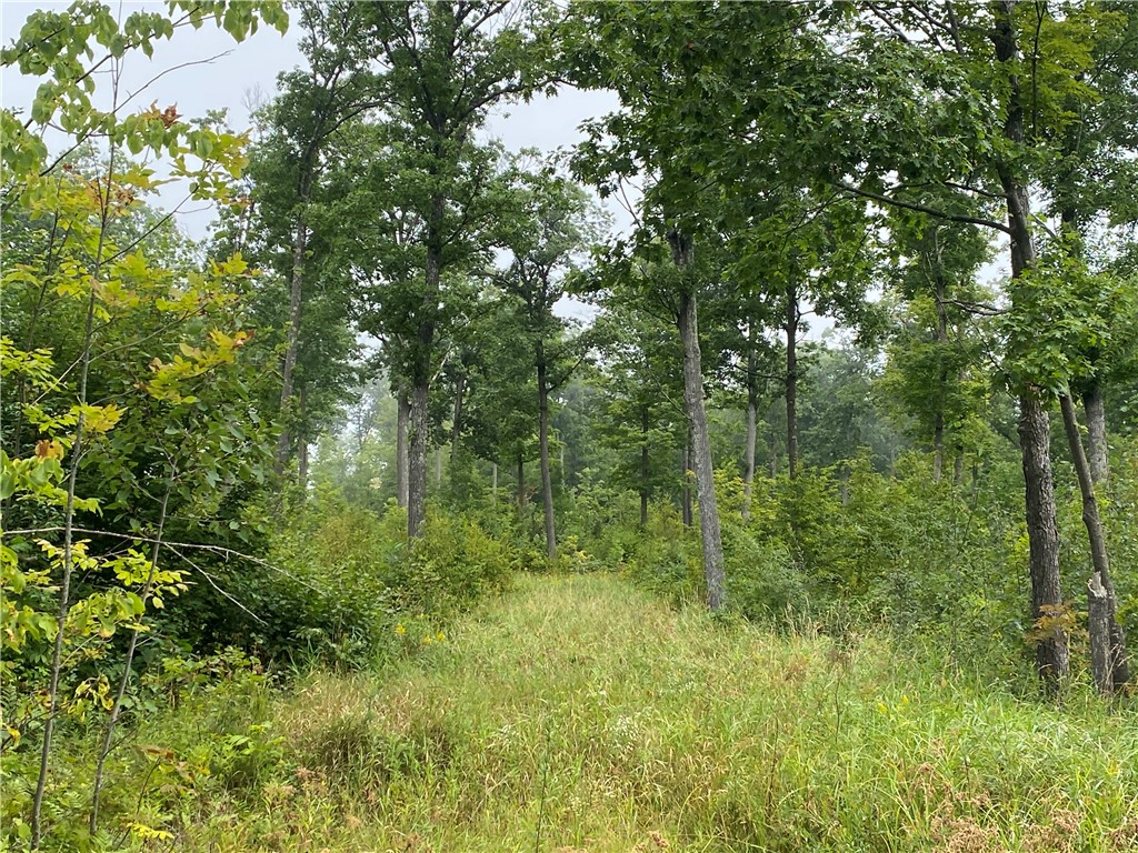 ON W County Road C Exeland WI 54835 1594776 image10