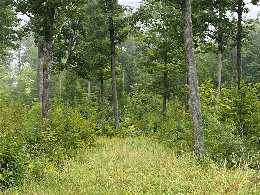 ON W County Road C Exeland WI 54835 1594776 image11