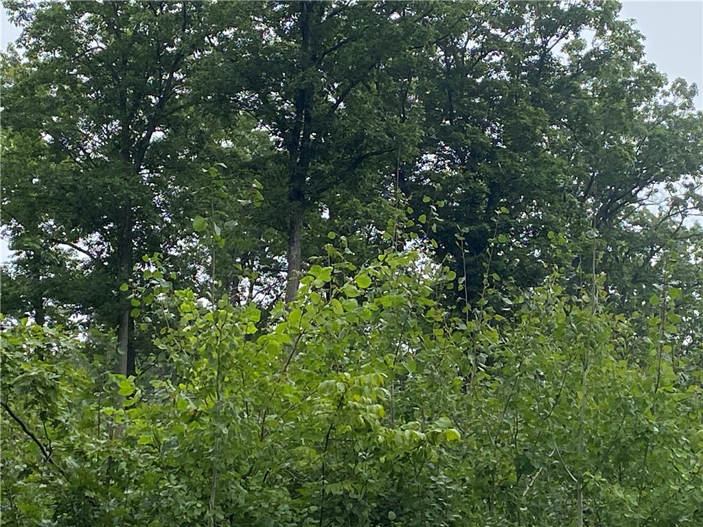 ON W County Road C Exeland WI 54835 1594776 image12