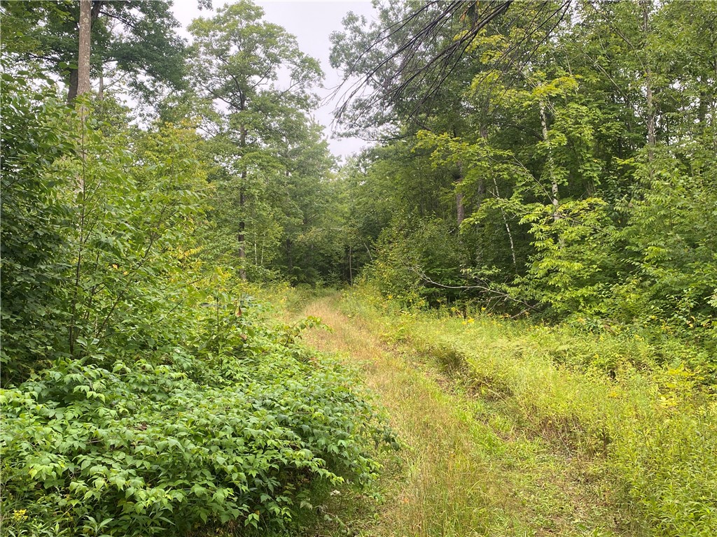 ON W County Road C Exeland WI 54835 1594776 image2