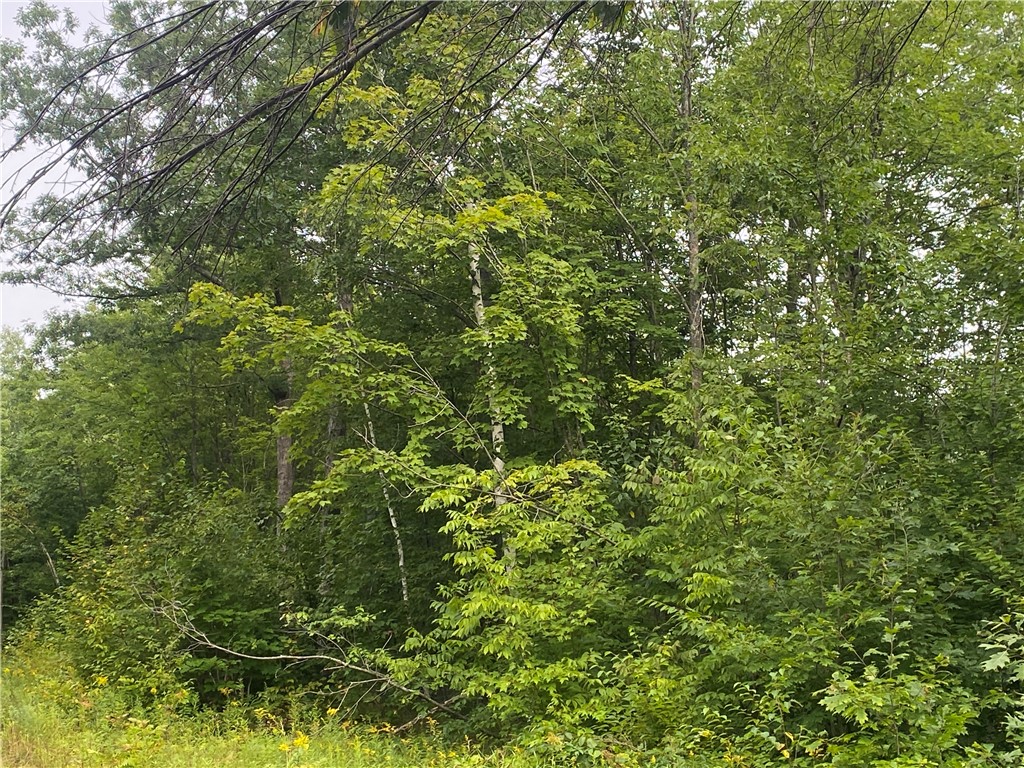 ON W County Road C Exeland WI 54835 1594776 image3