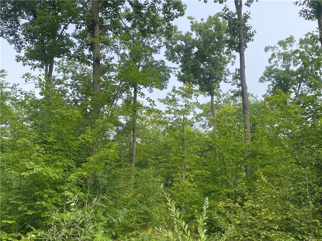 ON W County Road C Exeland WI 54835 1594776 image5